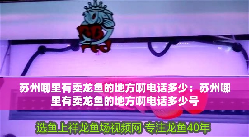 蘇州哪里有賣龍魚的地方啊電話多少：蘇州哪里有賣龍魚的地方啊電話多少號