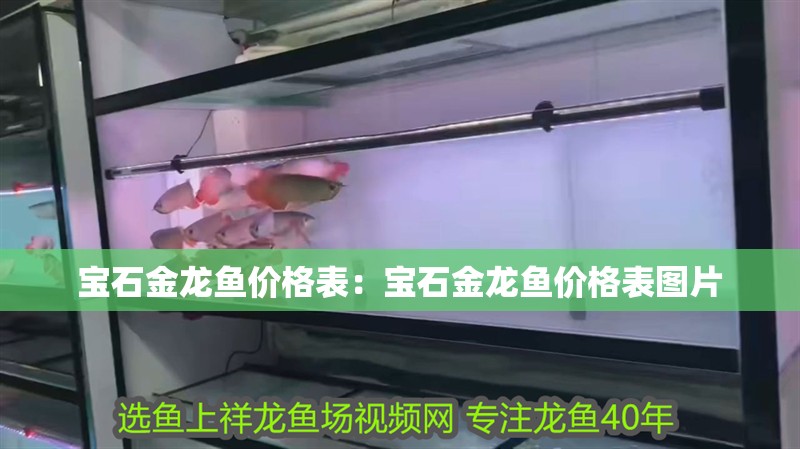 寶石金龍魚價格表：寶石金龍魚價格表圖片