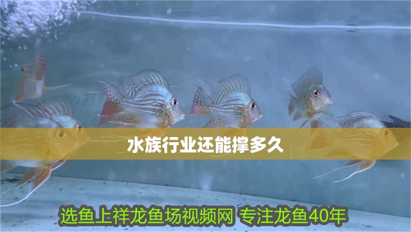 水族行業(yè)還能撐多久