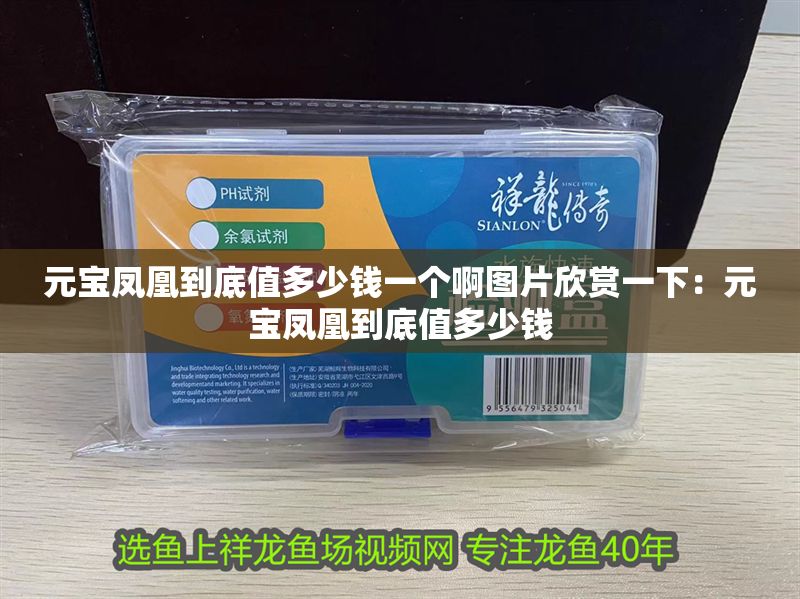 元寶鳳凰到底值多少錢一個啊圖片欣賞一下：元寶鳳凰到底值多少錢