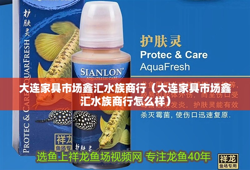 大連家具市場鑫匯水族商行（大連家具市場鑫匯水族商行怎么樣）