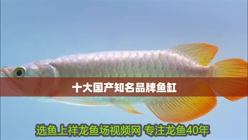 十大國產知名品牌魚缸 十大國產知名品牌魚缸 龍魚百科 第1張