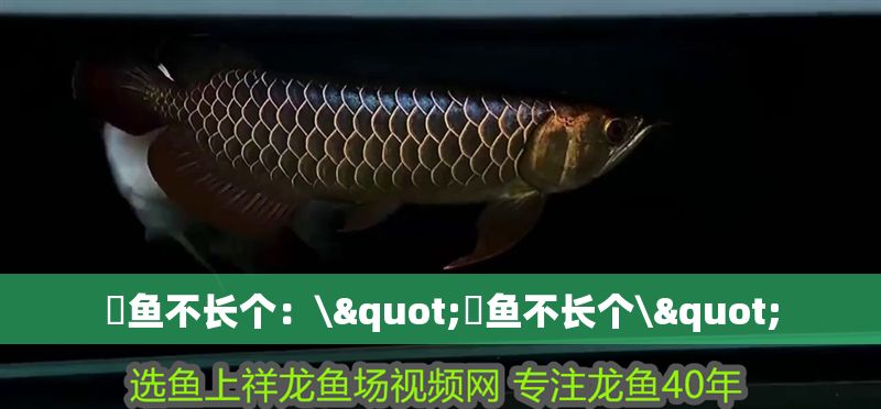 魟魚不長個：\"魟魚不長個\"