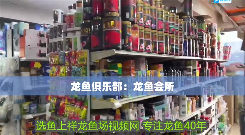 龍魚俱樂部：龍魚會所 龍魚俱樂部：龍魚會所 水族問答