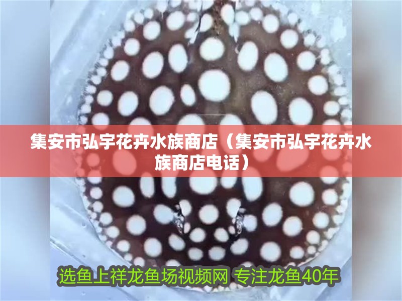 集安市弘宇花卉水族商店（集安市弘宇花卉水族商店電話） 集安市弘宇花卉水族商店（集安市弘宇花卉水族商店電話） 全國水族館企業名錄 第1張
