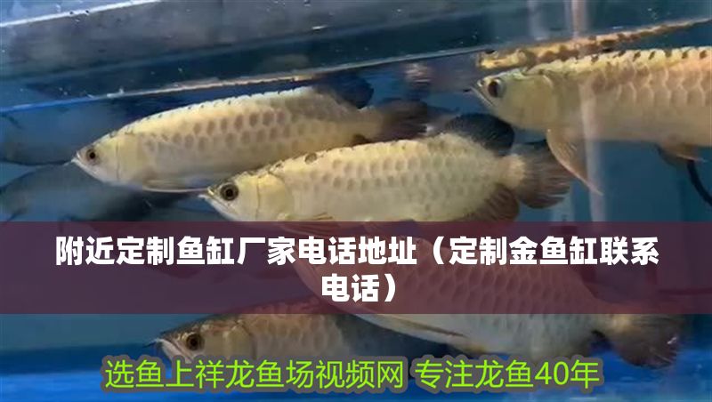 附近定制魚缸廠家電話地址（定制金魚缸聯系電話） 附近定制魚缸廠家電話地址（定制金魚缸聯系電話） 龍魚百科 第1張