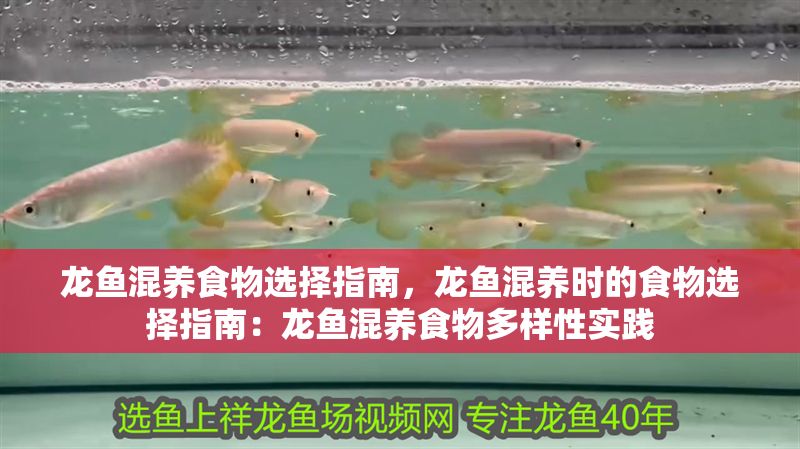 龍魚混養食物選擇指南，龍魚混養時的食物選擇指南：龍魚混養食物多樣性實踐