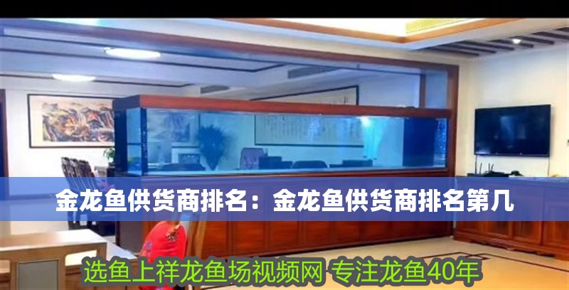 金龍魚供貨商排名：金龍魚供貨商排名第幾