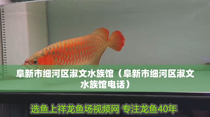 阜新市細(xì)河區(qū)淑文水族館(阜新市細(xì)河區(qū)淑文水族館電話) 全國水族館企業(yè)名錄 第1張 阜新市細(xì)河區(qū)淑文水族館(阜新市細(xì)河區(qū)淑文水族館電話) 阜新市細(xì)河區(qū)淑文水族館(阜新市細(xì)河區(qū)淑文水族館電話) 全國水族館企業(yè)名錄 第1張