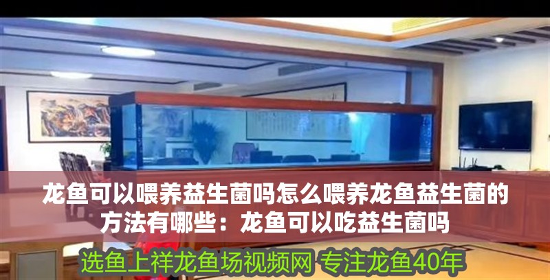 龍魚可以喂養益生菌嗎怎么喂養龍魚益生菌的方法有哪些：龍魚可以吃益生菌嗎