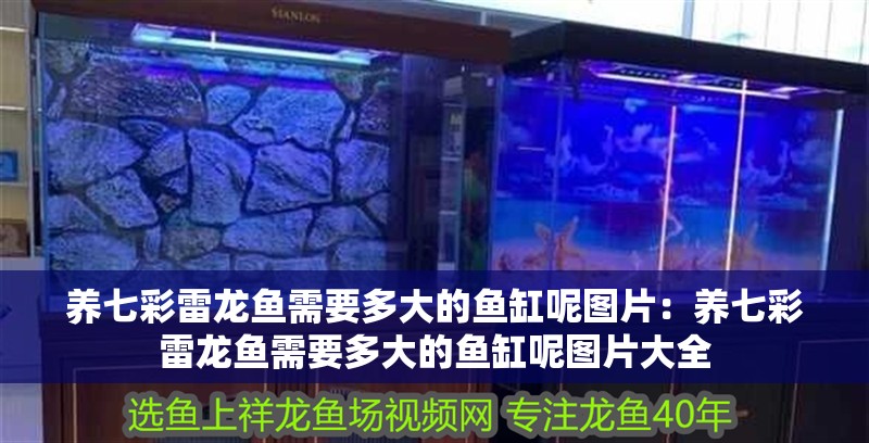 養(yǎng)七彩雷龍魚需要多大的魚缸呢圖片：養(yǎng)七彩雷龍魚需要多大的魚缸呢圖片大全