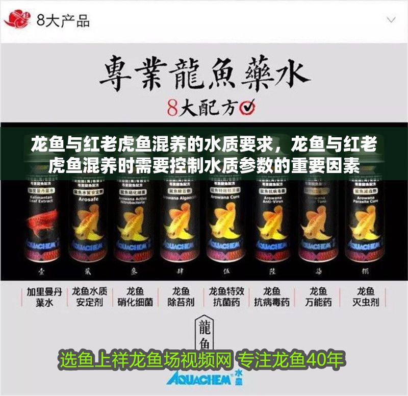 龍魚與紅老虎魚混養(yǎng)的水質(zhì)要求，龍魚與紅老虎魚混養(yǎng)時(shí)需要控制水質(zhì)參數(shù)的重要因素