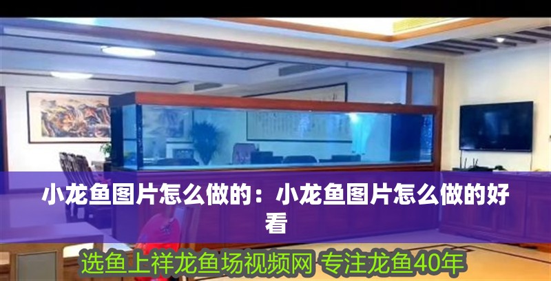 小龍魚圖片怎么做的：小龍魚圖片怎么做的好看