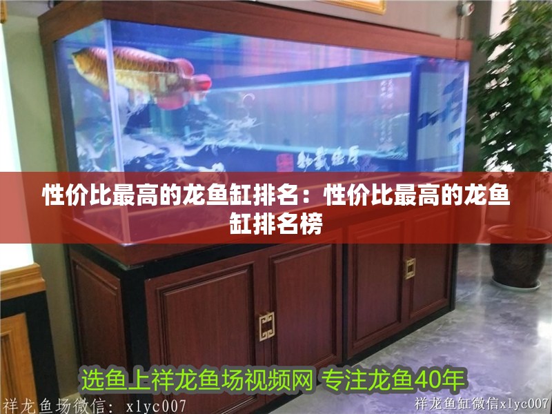 性價比最高的龍魚缸排名：性價比最高的龍魚缸排名榜