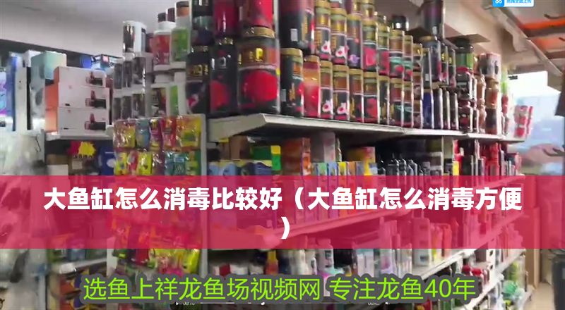 大魚缸怎么消毒比較好（大魚缸怎么消毒方便） 大魚缸怎么消毒比較好（大魚缸怎么消毒方便） 龍魚百科 第1張