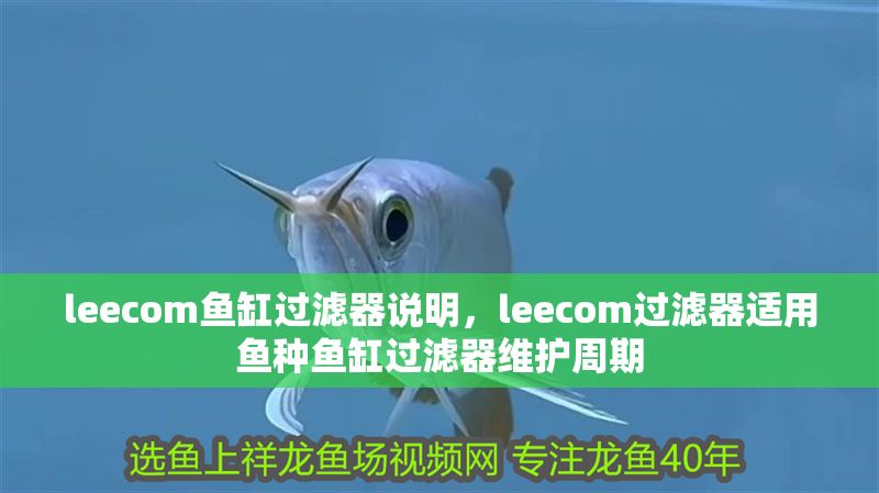 leecom魚缸過濾器說明，leecom過濾器適用魚種魚缸過濾器維護周期 leecom魚缸過濾器說明，leecom過濾器適用魚種魚缸過濾器維護周期 魚缸百科 第2張