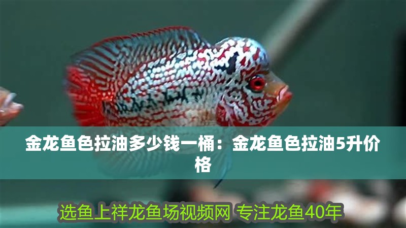 金龍魚(yú)色拉油多少錢(qián)一桶:金龍魚(yú)色拉油5升價(jià)格 水族問(wèn)答 金龍魚(yú)色拉油多少錢(qián)一桶:金龍魚(yú)色拉油5升價(jià)格 金龍魚(yú)色拉油多少錢(qián)一桶:金龍魚(yú)色拉油5升價(jià)格 水族問(wèn)答