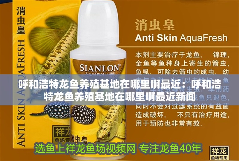 呼和浩特龍魚養(yǎng)殖基地在哪里啊最近：呼和浩特龍魚養(yǎng)殖基地在哪里啊最近新聞
