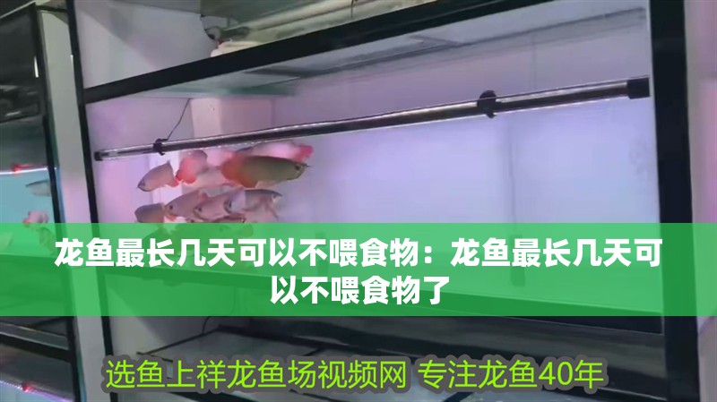 龍魚最長幾天可以不喂食物：龍魚最長幾天可以不喂食物了