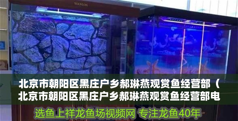 北京市朝陽區黑莊戶鄉郝琳燕觀賞魚經營部（北京市朝陽區黑莊戶鄉郝琳燕觀賞魚經營部電話） 北京市朝陽區黑莊戶鄉郝琳燕觀賞魚經營部（北京市朝陽區黑莊戶鄉郝琳燕觀賞魚經營部電話） 全國水族館企業名錄 第1張