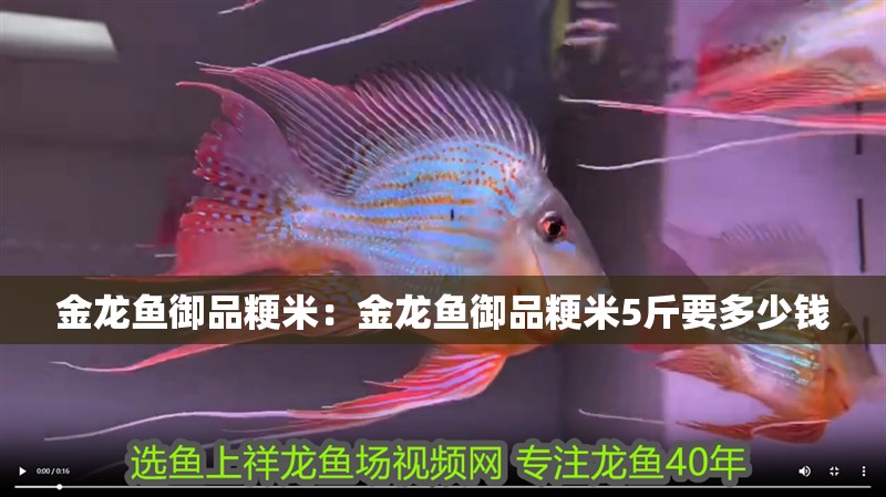 金龍魚御品粳米：金龍魚御品粳米5斤要多少錢 金龍魚御品粳米：金龍魚御品粳米5斤要多少錢 水族問答