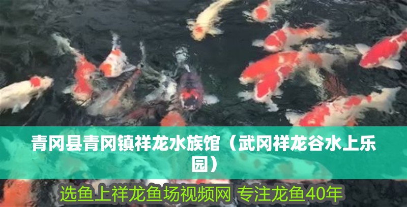 青岡縣青岡鎮(zhèn)祥龍水族館(武岡祥龍谷水上樂園) 全國(guó)水族館企業(yè)名錄 第2張 青岡縣青岡鎮(zhèn)祥龍水族館(武岡祥龍谷水上樂園) 青岡縣青岡鎮(zhèn)祥龍水族館(武岡祥龍谷水上樂園) 全國(guó)水族館企業(yè)名錄 第2張