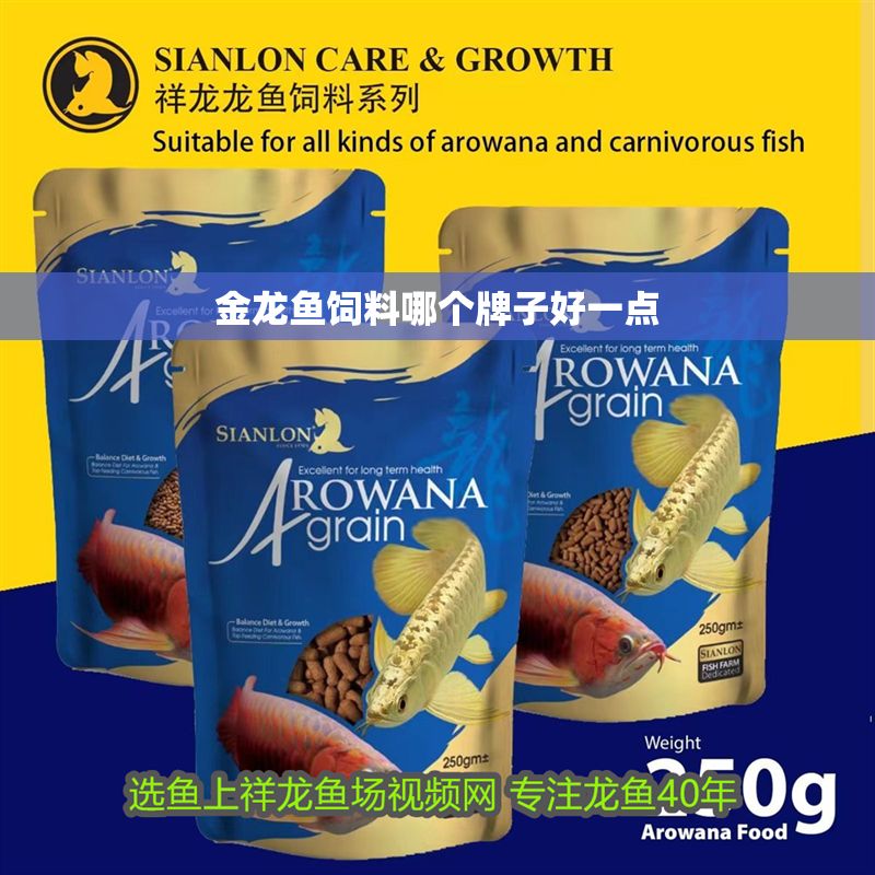 金龍魚飼料哪個牌子好一點 金龍魚飼料哪個牌子好一點 龍魚百科 第2張