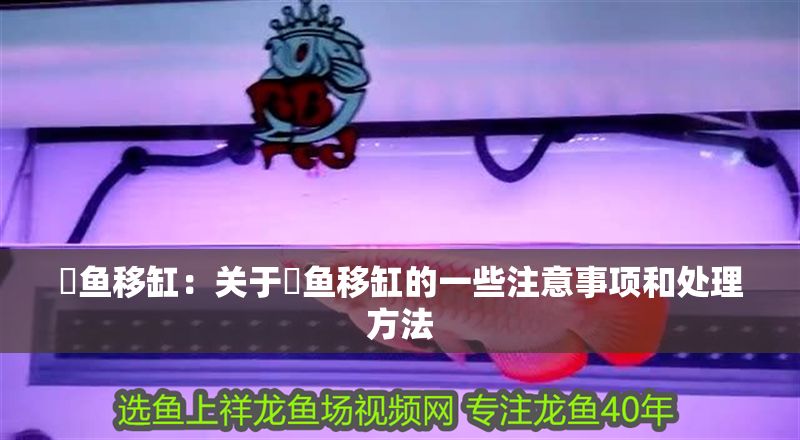 魟魚移缸：關于魟魚移缸的一些注意事項和處理方法