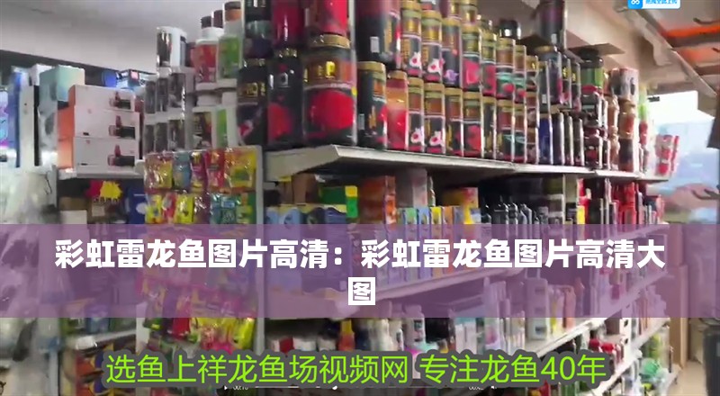彩虹雷龍魚圖片高清：彩虹雷龍魚圖片高清大圖
