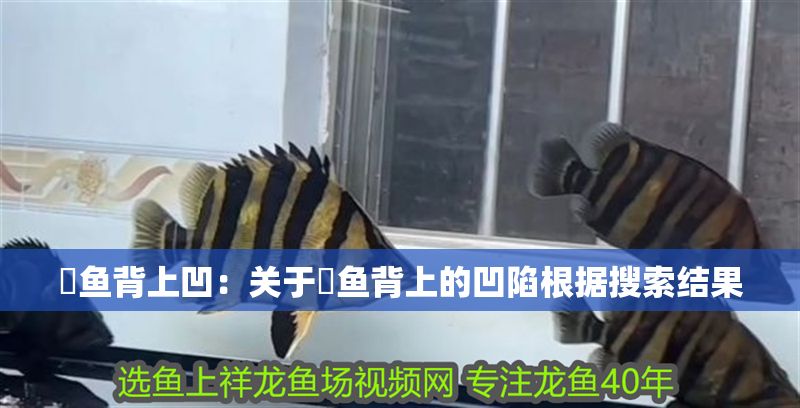魟魚背上凹：關(guān)于魟魚背上的凹陷根據(jù)搜索結(jié)果