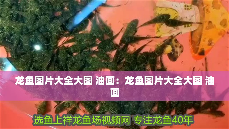 龍魚圖片大全大圖 油畫：龍魚圖片大全大圖 油畫