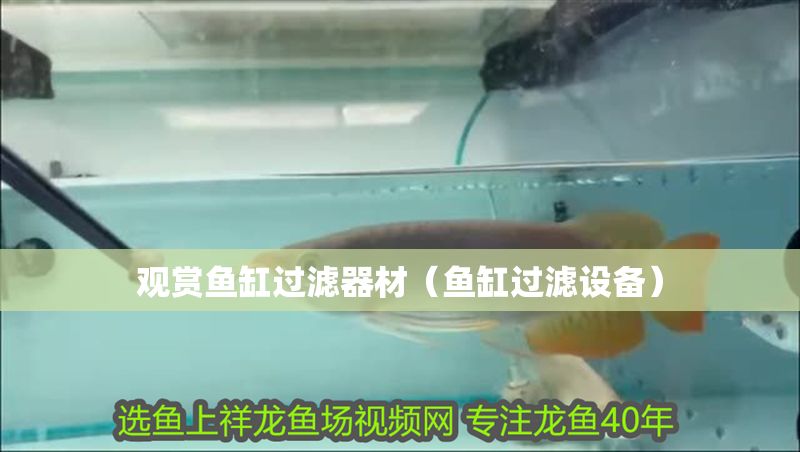 觀賞魚缸過濾器材（魚缸過濾設(shè)備） 觀賞魚缸過濾器材（魚缸過濾設(shè)備） 龍魚百科 第1張