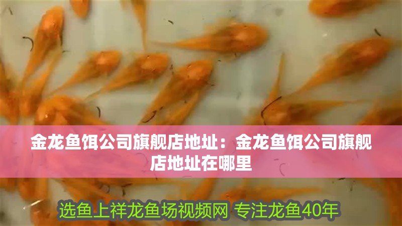 金龍魚餌公司旗艦店地址：金龍魚餌公司旗艦店地址在哪里