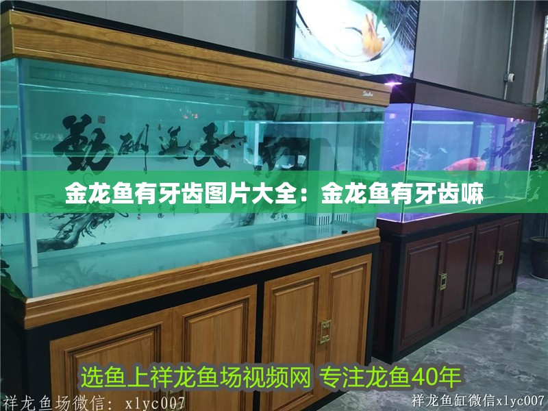 金龍魚有牙齒圖片大全：金龍魚有牙齒嘛