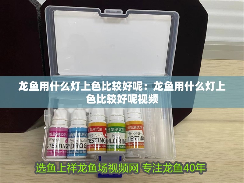 龍魚(yú)用什么燈上色比較好呢：龍魚(yú)用什么燈上色比較好呢視頻 龍魚(yú)用什么燈上色比較好呢：龍魚(yú)用什么燈上色比較好呢視頻 水族問(wèn)答