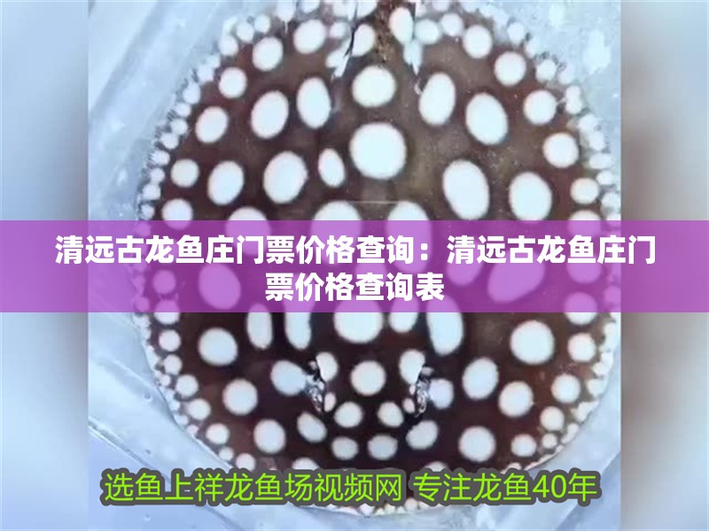 清遠古龍魚莊門票價格查詢：清遠古龍魚莊門票價格查詢表