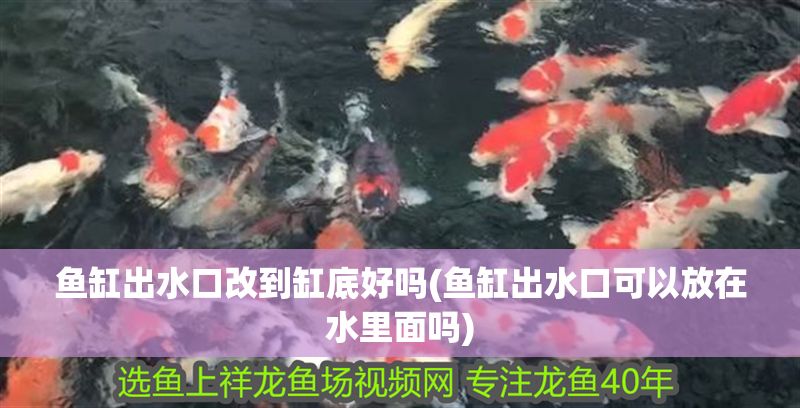 魚缸出水口改到缸底好嗎(魚缸出水口可以放在水里面嗎)