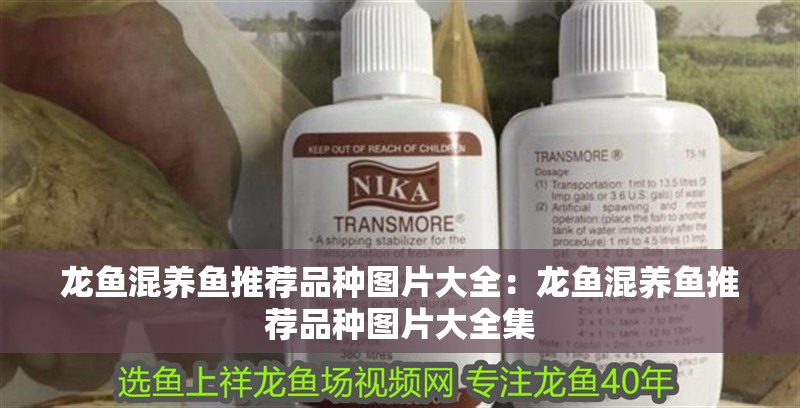 龍魚混養魚推薦品種圖片大全：龍魚混養魚推薦品種圖片大全集