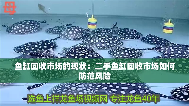 魚缸回收市場的現狀：二手魚缸回收市場如何防范風險
