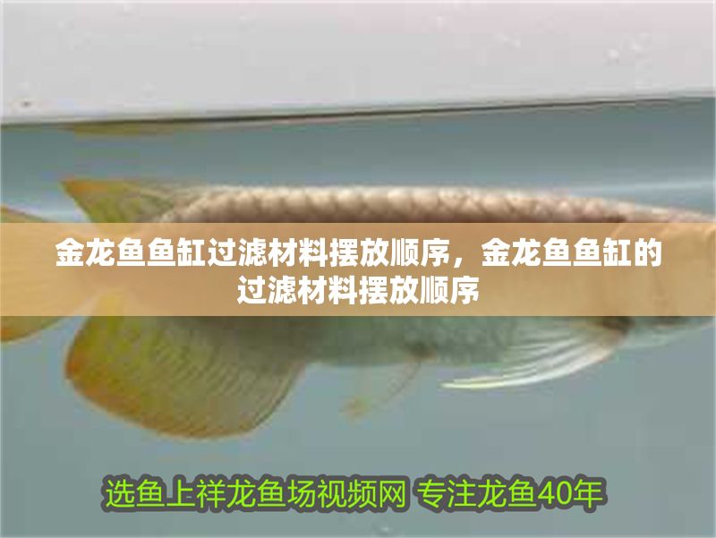 金龍魚魚缸過濾材料擺放順序，金龍魚魚缸的過濾材料擺放順序