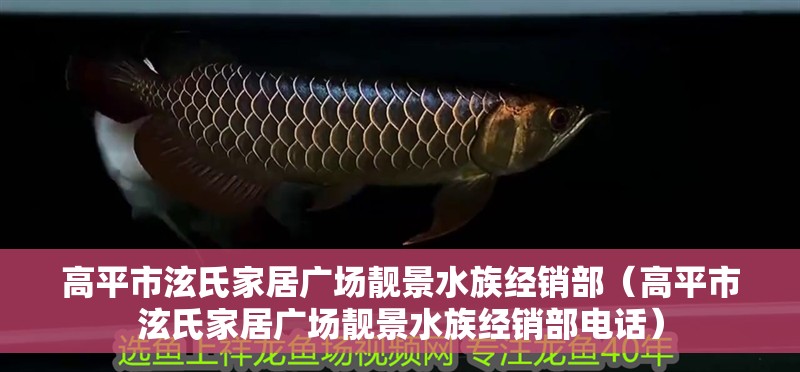 高平市泫氏家居廣場靚景水族經銷部（高平市泫氏家居廣場靚景水族經銷部電話）