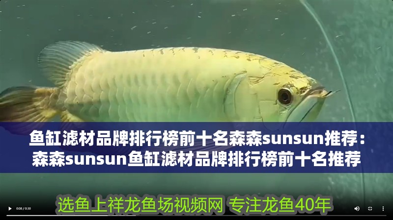 魚缸濾材品牌排行榜前十名森森sunsun推薦：森森sunsun魚缸濾材品牌排行榜前十名推薦