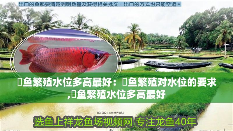 魟魚繁殖水位多高最好：魟魚繁殖對水位的要求,魟魚繁殖水位多高最好
