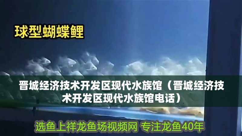 晉城經(jīng)濟(jì)技術(shù)開(kāi)發(fā)區(qū)現(xiàn)代水族館（晉城經(jīng)濟(jì)技術(shù)開(kāi)發(fā)區(qū)現(xiàn)代水族館電話）