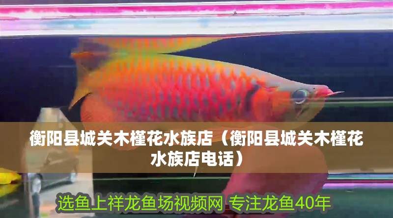 衡陽縣城關木槿花水族店(衡陽縣城關木槿花水族店電話) 全國水族館企業名錄 第1張 衡陽縣城關木槿花水族店(衡陽縣城關木槿花水族店電話) 衡陽縣城關木槿花水族店(衡陽縣城關木槿花水族店電話) 全國水族館企業名錄 第1張