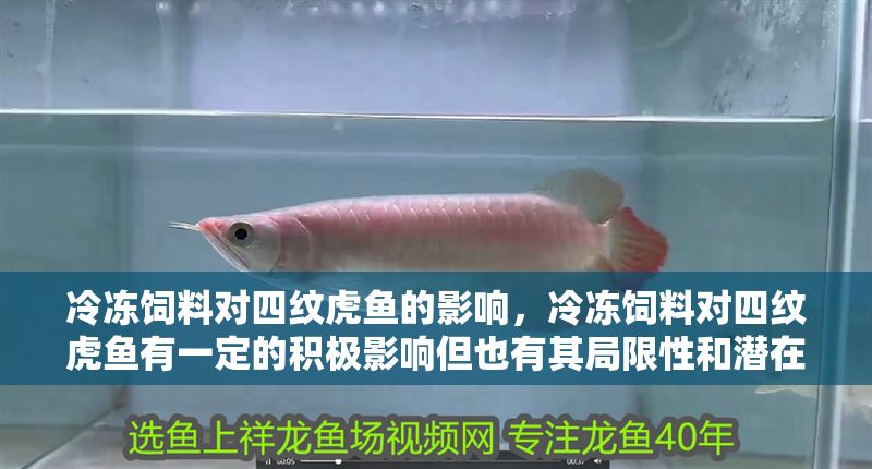 冷凍飼料對四紋虎魚的影響，冷凍飼料對四紋虎魚有一定的積極影響但也有其局限性和潛在問題