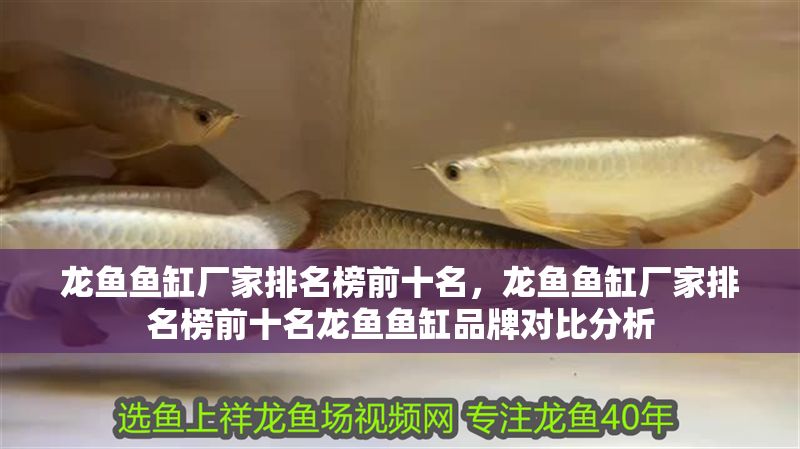 龍魚魚缸廠家排名榜前十名，龍魚魚缸廠家排名榜前十名龍魚魚缸品牌對比分析