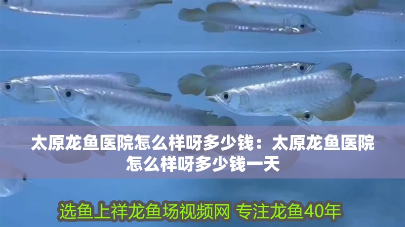 太原龍魚醫院怎么樣呀多少錢：太原龍魚醫院怎么樣呀多少錢一天