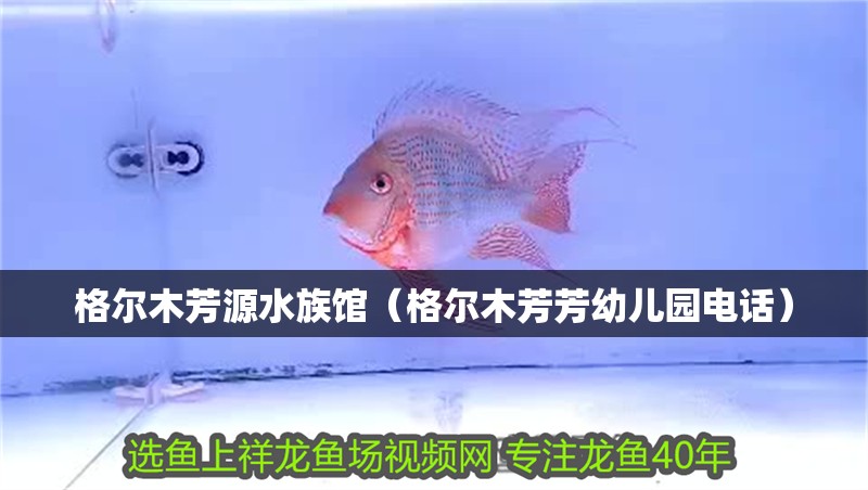 格爾木芳源水族館（格爾木芳芳幼兒園電話）