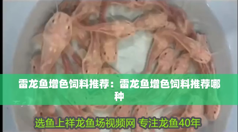 雷龍魚增色飼料推薦:雷龍魚增色飼料推薦哪種 水族問答 雷龍魚增色飼料推薦:雷龍魚增色飼料推薦哪種 雷龍魚增色飼料推薦:雷龍魚增色飼料推薦哪種 水族問答